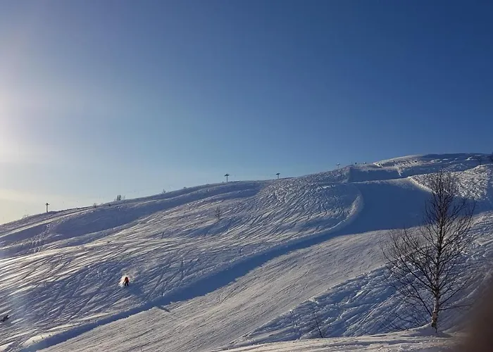 Timblalodgen Villa *