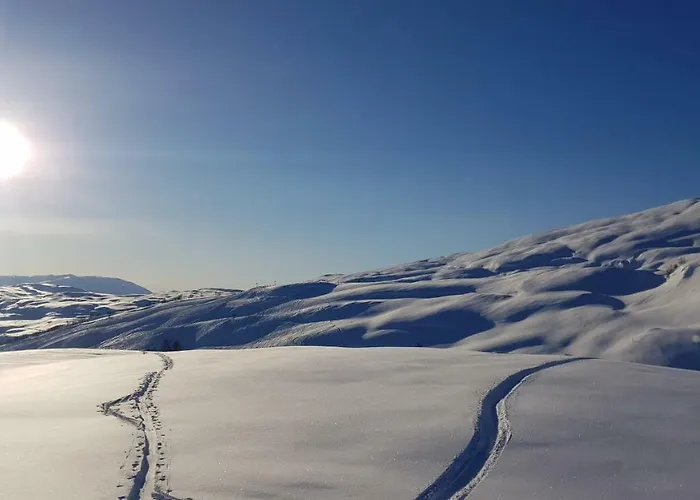 Timblalodgen - Mountain Near Sognefjord & Flam Sogndal
